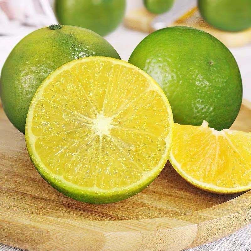 小博农场广西皇帝柑新鲜水果柑橘皮薄橘子桔子新鲜应季水果 中果带箱5斤：单果60-80mm
