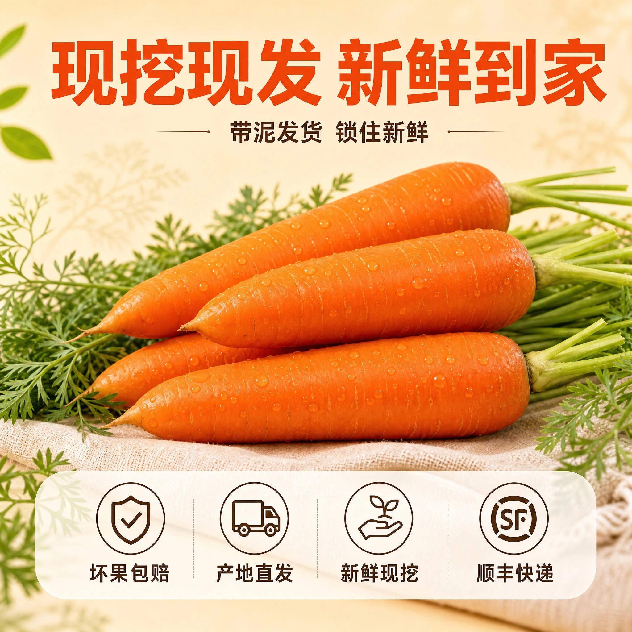 新疆黄萝卜红黄胡萝卜组合装新鲜农家自种蔬菜手抓饭榨汁凉拌萝卜 黄胡萝卜+红胡萝卜双拼4.5斤