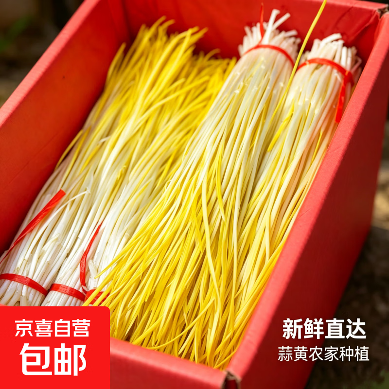 农家蒜黄1斤 9.9元 - 86线报