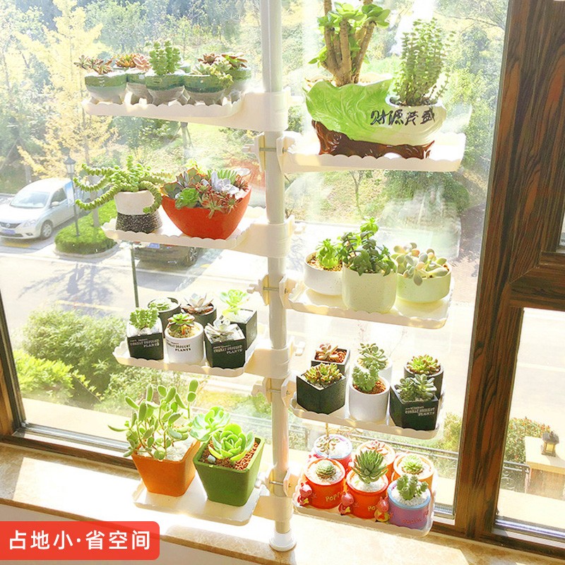 怎么查看京东花架装饰架以前的价格|花架装饰架价格走势