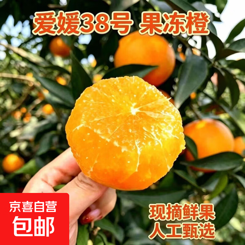 四川眉山爱媛果冻橙带箱5斤 15.9元 - 86线报
