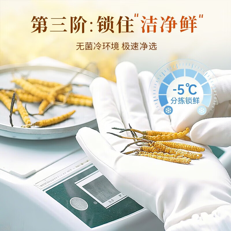 源江草品牌 冬虫夏草 新干虫草滋补品高端滋补礼盒 5根/克 4g*1盒 【热销款】