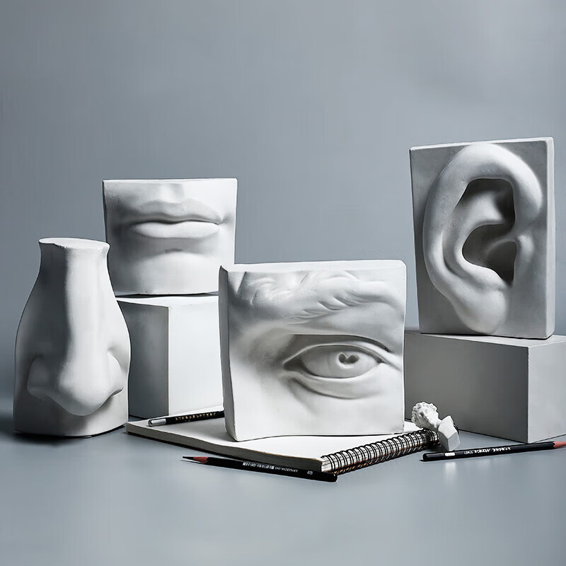 石膏教具五官石膏像实面切面可选石膏头像画室教学专用教育用品批发