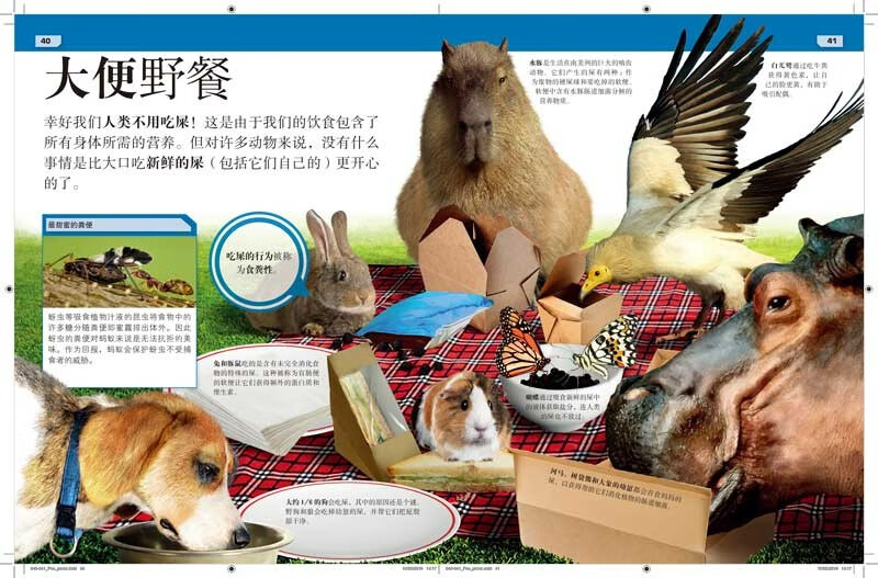DK这不可能是真的 黏糊糊+臭烘烘（套装共2册）开学必备 课外读物详情图