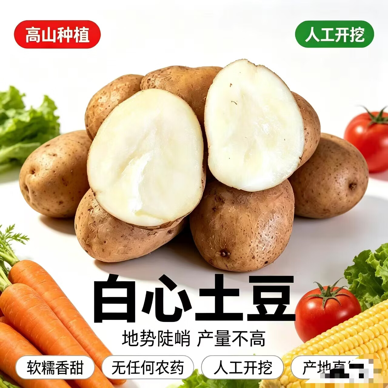 贵州白心土豆《10斤装试吃装》农家老品种粉糯拉丝现挖洋芋无农药 10斤 精品大果