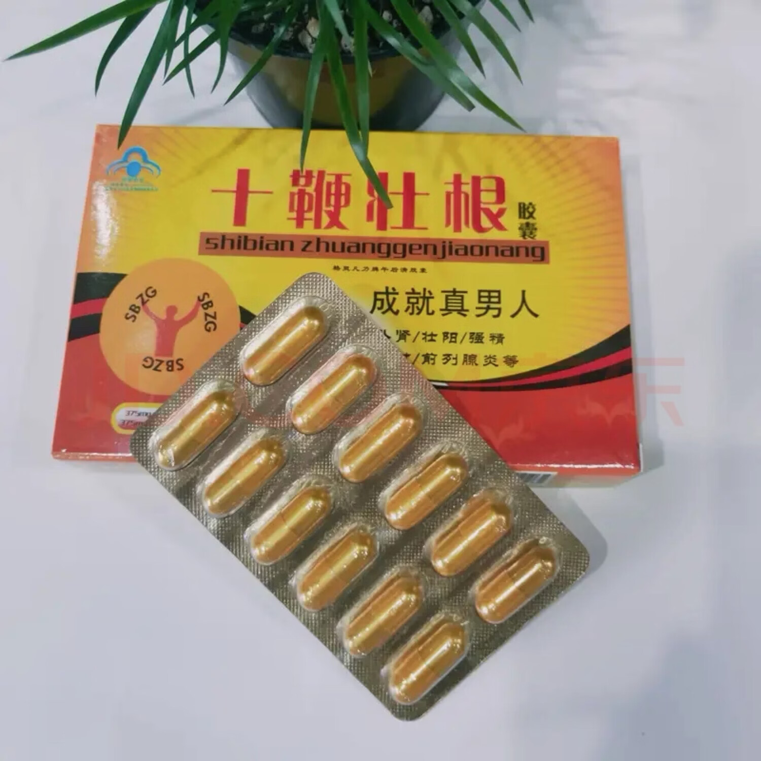 老款十鞭壮根胶囊12粒男用速效口服一粒一想就硬买二送一