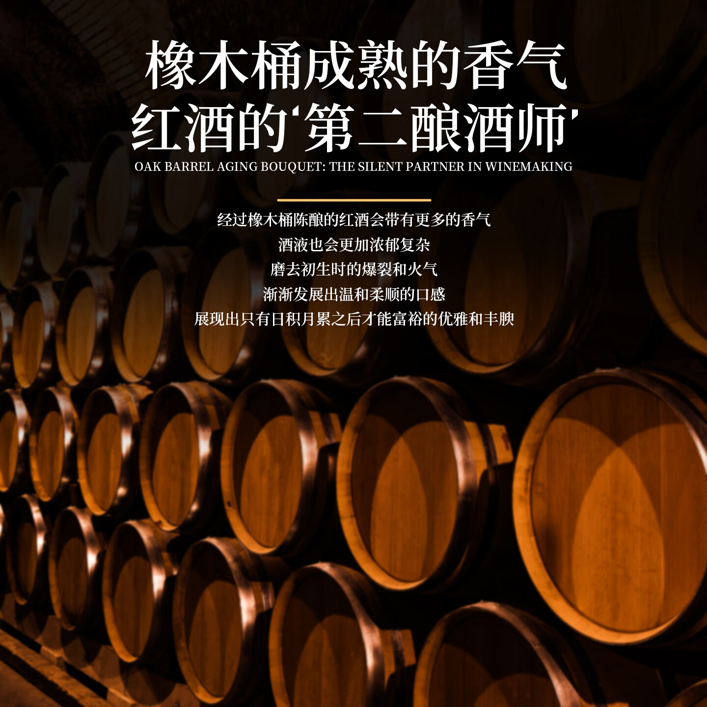 马丁巴克 【双支红酒礼盒】法国进口红酒高端干红葡萄酒送礼批发中秋礼盒 【古堡丨法国】14°酒味醇厚