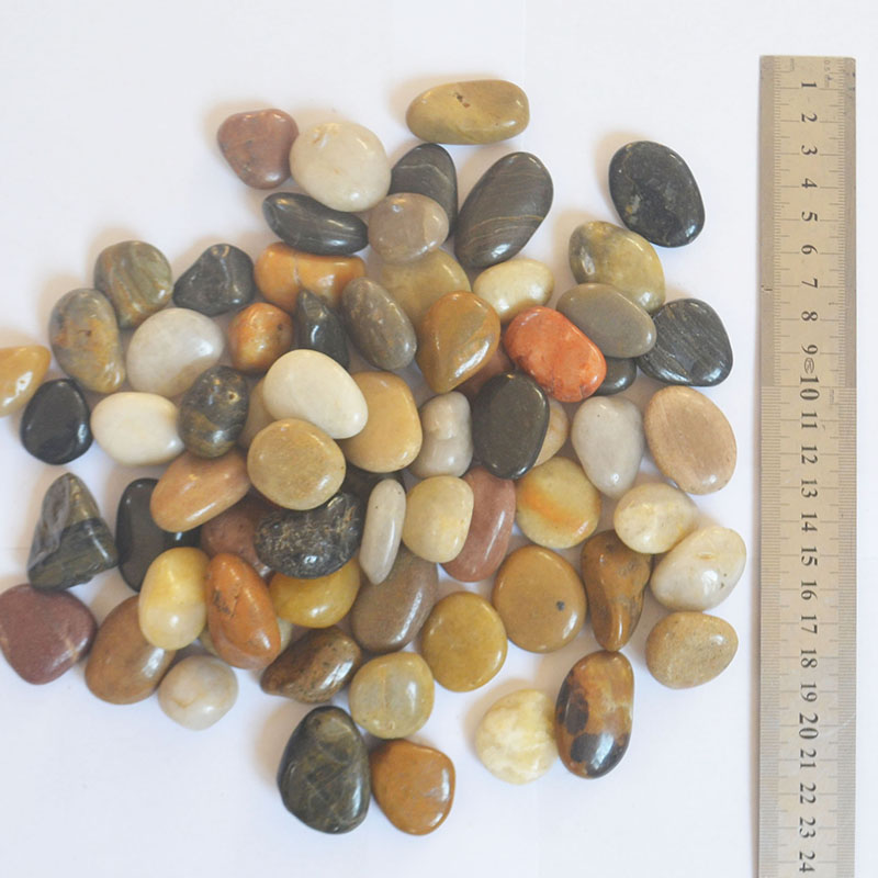 赐紫樱桃鹅卵石铺路石铺地庭院园林园艺造景石头鹅暖石水培花石 1-3