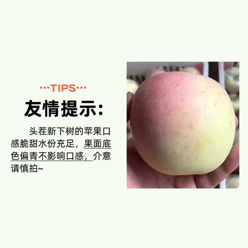 京农超陕西红富士苹果【2026新苹果】脆甜丑苹果平果新鲜当季水果生鲜 5斤【头茬果】75-80mm 净重4.5斤
