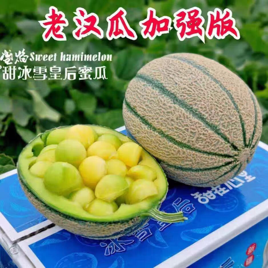 新疆特产水果新疆特产冰淇淋网纹蜜瓜吐鲁番哈蜜瓜甜瓜 3