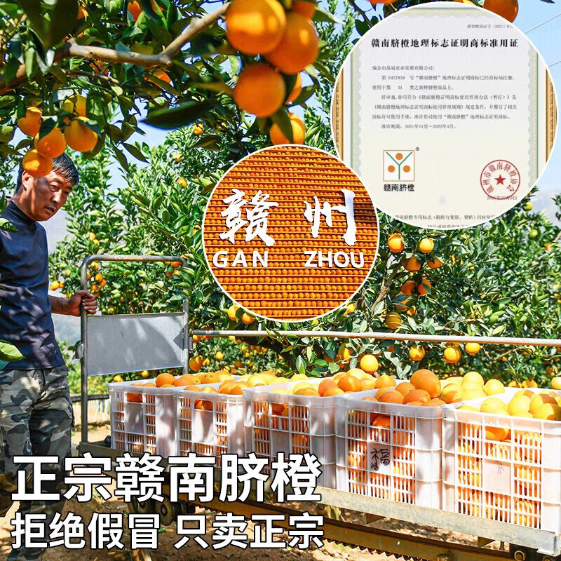 物鲜仙子正宗赣南早橙【多地次日达】新鲜果冻脐橙手剥冰糖橙年货水果礼盒 单果70-80mm+|香甜多汁,日常优选 5斤甄选装净重4.5斤