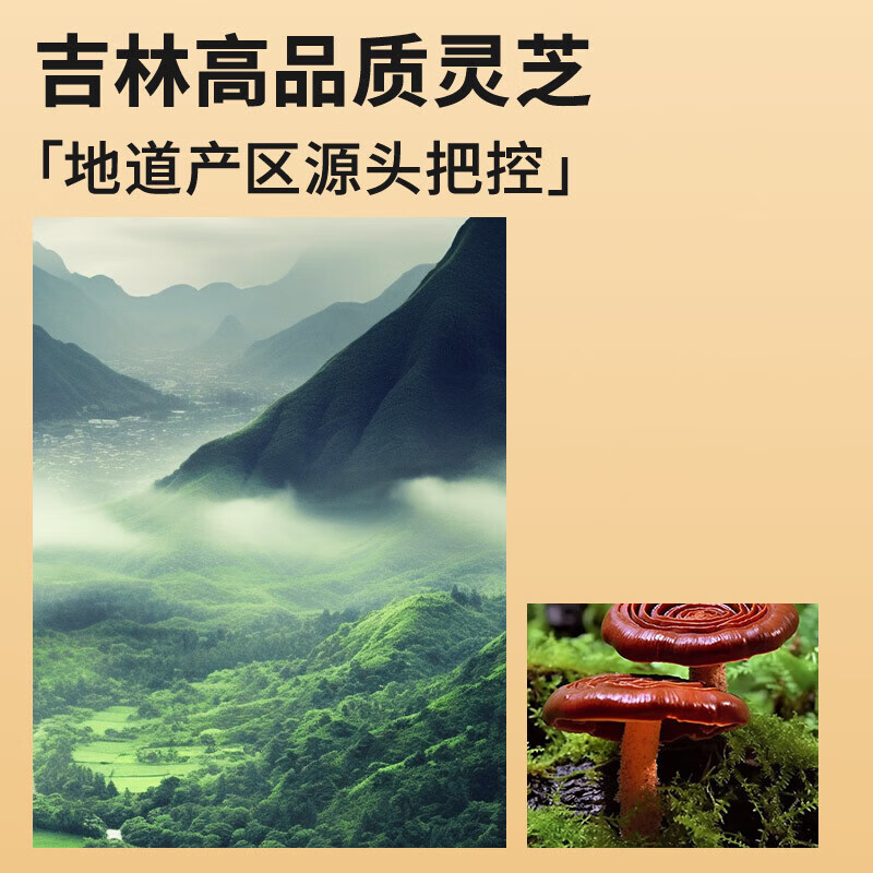 北京同仁堂灵芝礼盒整颗250克送长辈滋补养生年货礼盒 250g礼盒装