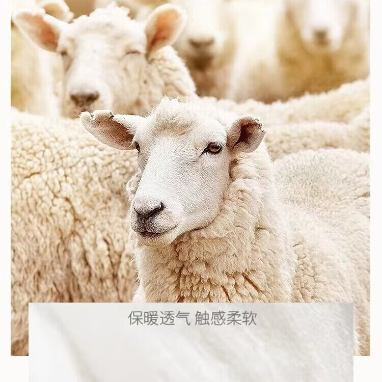 丝贵纯都高定上新100%羊毛801韩系氛围感双面羊毛大衣气质品牌大衣 女外套 咖色 M 130-155斤