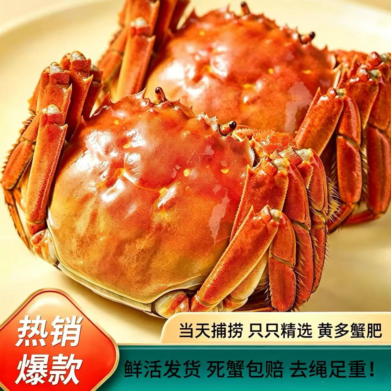 【活蟹】正宗江苏 母大闸蟹 简装生鲜水产礼盒 京东快递 售后无忧 【活蟹】八只2-2.2两母蟹