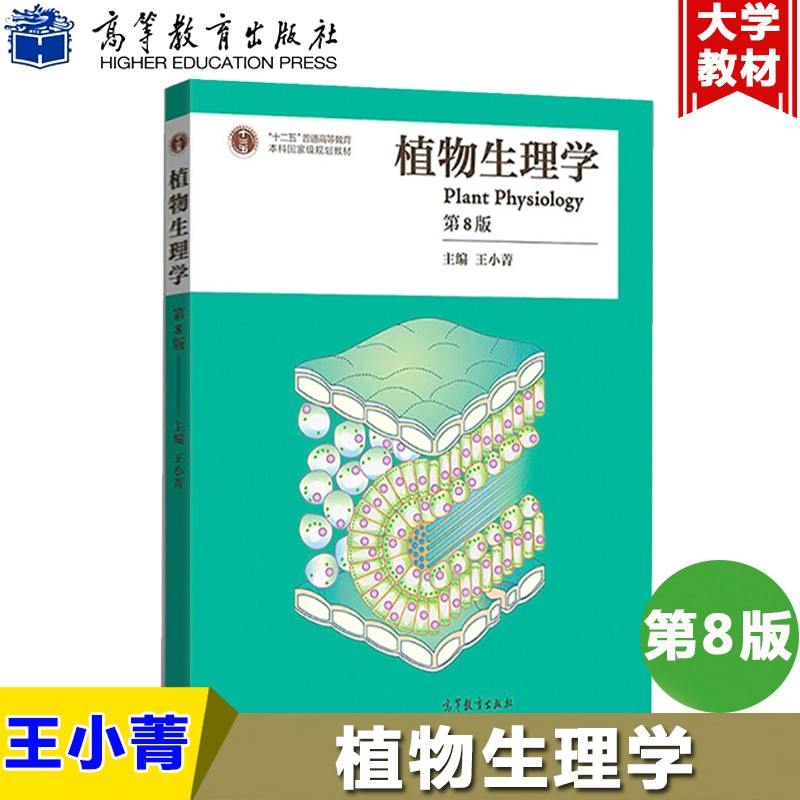 现货植物生理学 第8版 王小菁第八版高等师范院校、综合性大学和农林院校的植物生理学教材