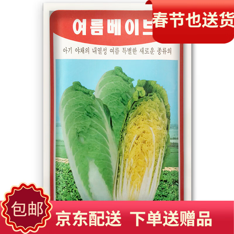 凤鸣雅世 玲珑黄娃娃菜种子黄心黄叶白菜四季播高山娃娃菜种籽蔬菜