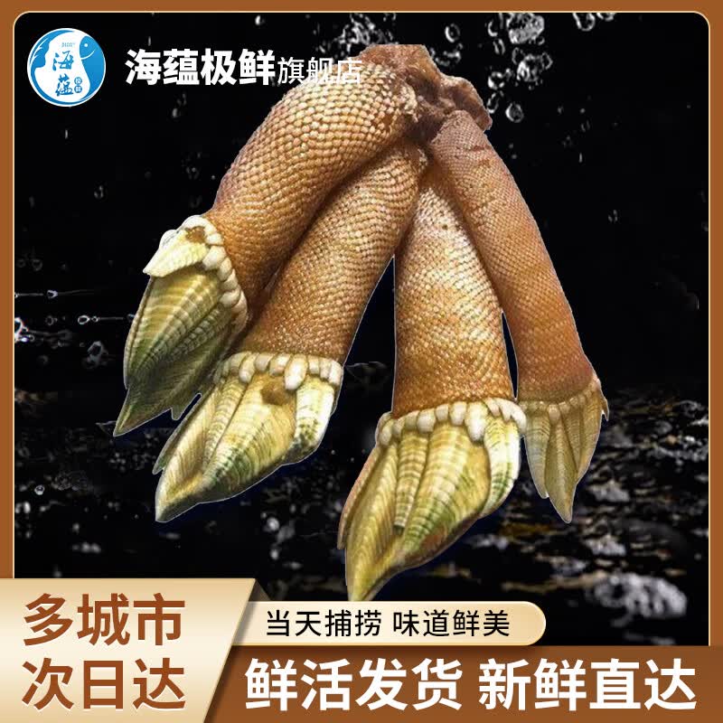 海蕴极鲜【活鲜】鲜活佛手螺 新鲜狗爪螺观音掌鹅颈藤壶烧烤食材中秋
