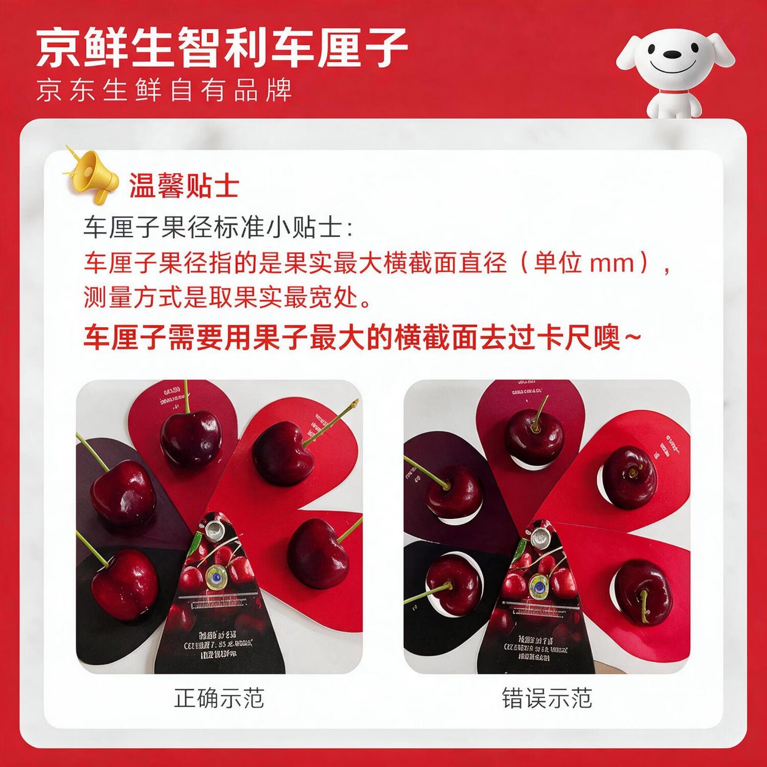 https://img14.360buyimg.com/pop/jfs/t1/543253/38/9936/312882/6ad76284F91b6d291/00835dc5dc241164.jpg