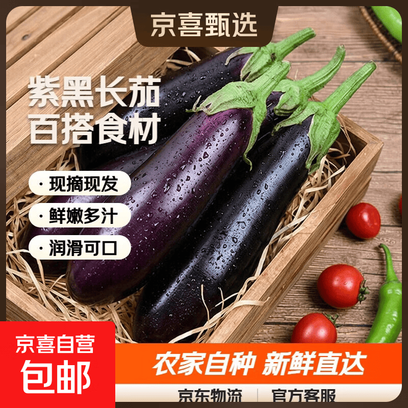 京喜加紫皮长茄高原农家自种新鲜蔬菜生鲜现摘现发京东快递 山东带箱4斤净重3.8斤