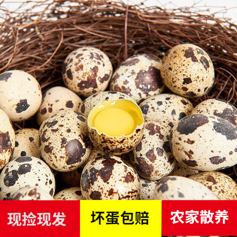 宛味宝新鲜生鹌鹑蛋农家营养杂粮喂养生生态养殖适合孕妇宝宝土特产