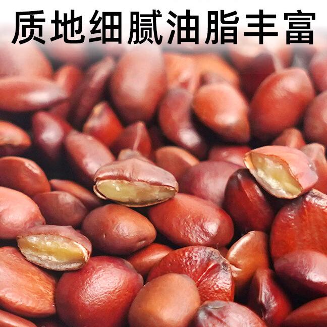 襄鹊仁炒酸枣仁药食同源邢枣仁道地产区产地仓纯熟助眠酸枣仁 250g*650罐
