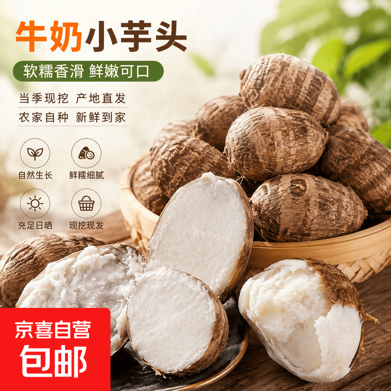 山东正宗牛奶小芋头新鲜软糯香芋二母毛芋头当天现挖产地直发 带箱9斤