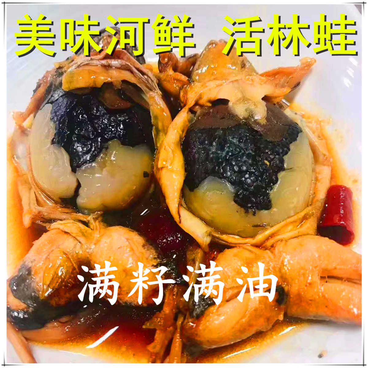 东北活林蛙活体母蛤蟆雪蛤母哈士蟆满籽满油定两10只每斤顺丰 只每斤