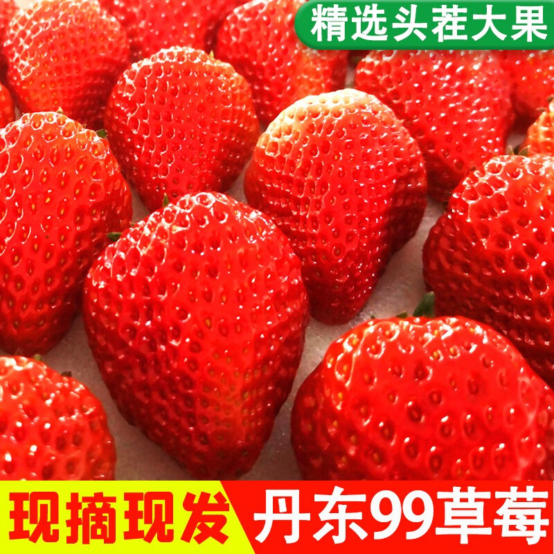 草莓市场价格走势与销量趋势分析|查看草莓历史价格的App