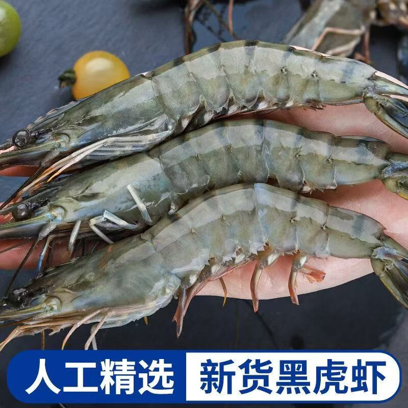 冰鲜部族正宗黑虎虾特大号老虎虾新鲜冷冻鲜活斑节虾大虾整箱海虾生鲜批发 20-23厘米精品特大号黑虎虾 2斤(净重) 【16/20规格】