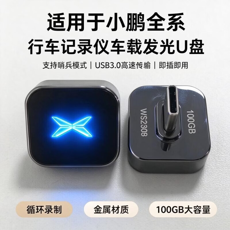 迪卜乐适用小鹏全系车型行车记录仪车载发光U盘支持哨兵模式USB3.0高速传输金属材质送转接头Type-c接口 黑色 适用于小鹏车载U盘 256GB 循环录制64小时