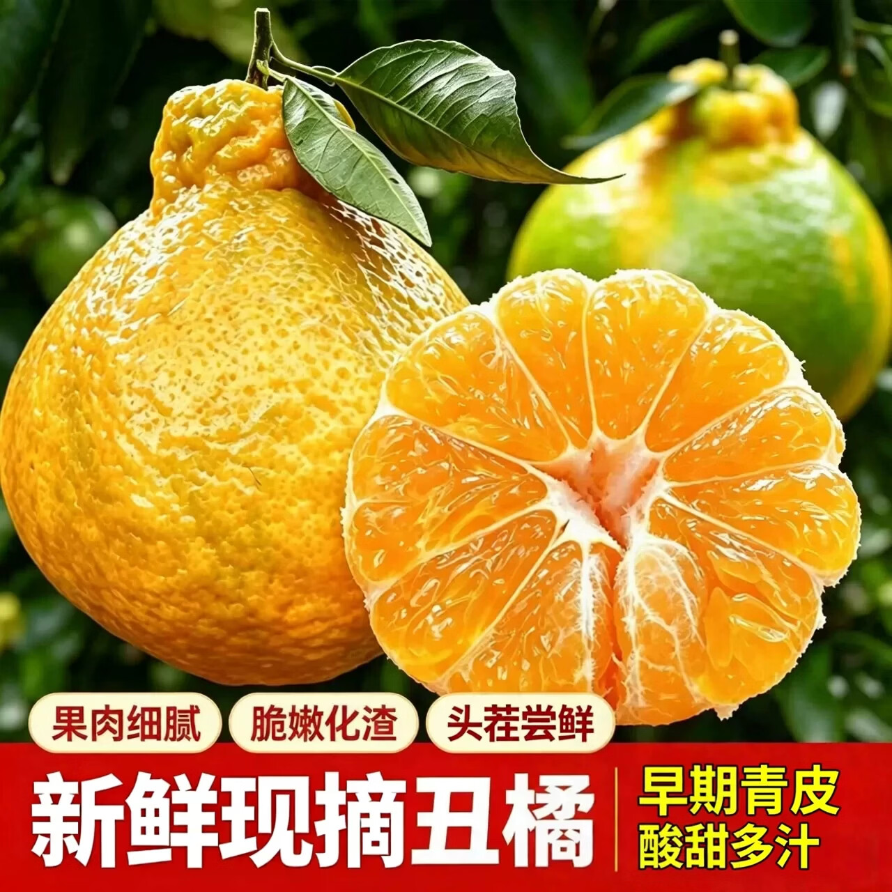 四川丑橘不知火丑八怪橘子新鲜孕妇水果整箱丑柑耙耙柑 丑橘净重4.5斤【单果70mm+】