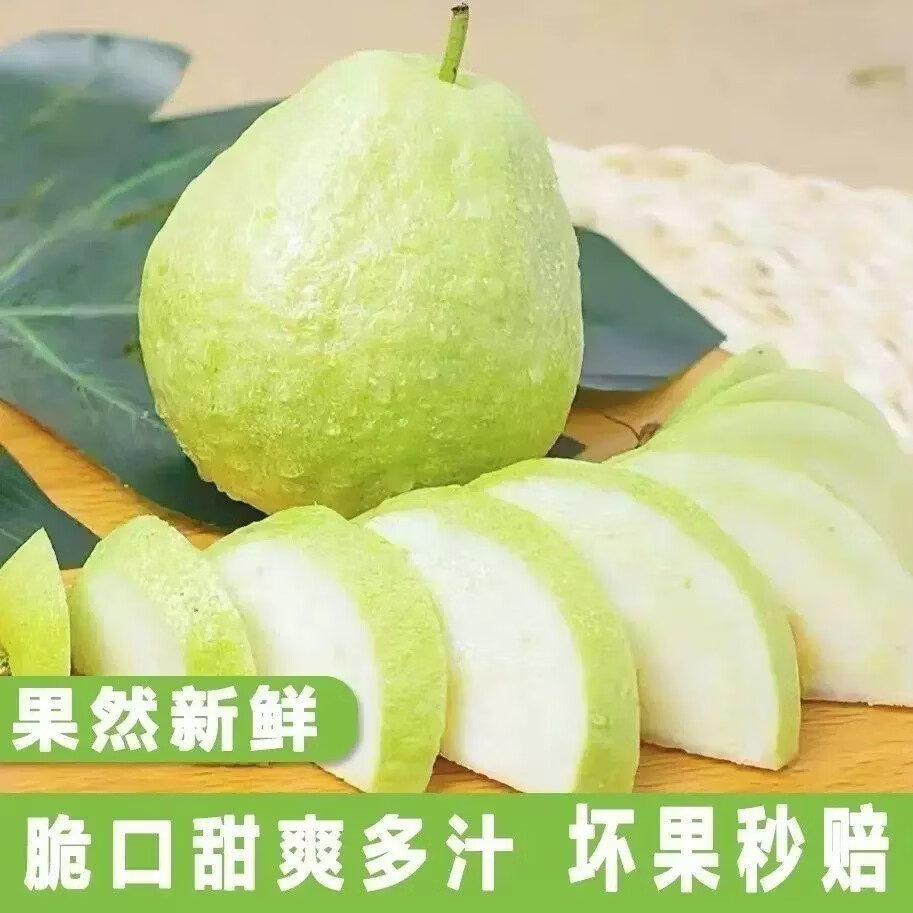 广西白心芭乐番石榴新鲜水果源头直发包邮 5斤白芭乐单果150克净重4.5斤