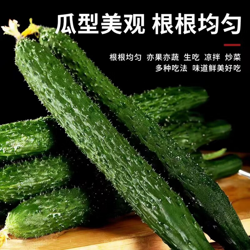 豔疅新鲜采摘刺黄瓜当季农家蔬菜可生吃采摘水果长脆绿心黄瓜蜜刺生鲜 净重 4.5斤 新鲜采摘【保鲜膜+珍珠网】