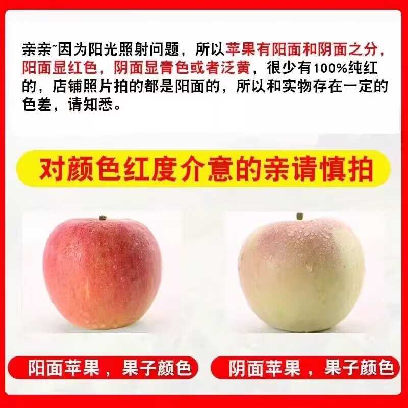 佟创陕西红富士苹果新鲜膜袋苹果现摘现发水果整箱产地直发 净重4.5斤精品果【单果75mm+】