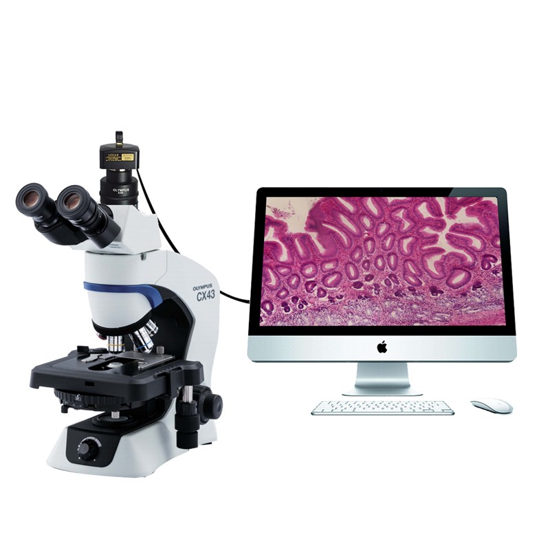 来欧 CX43三目生物显微镜40-1000倍医院化验生物科学研专业级 三目+1600万摄像