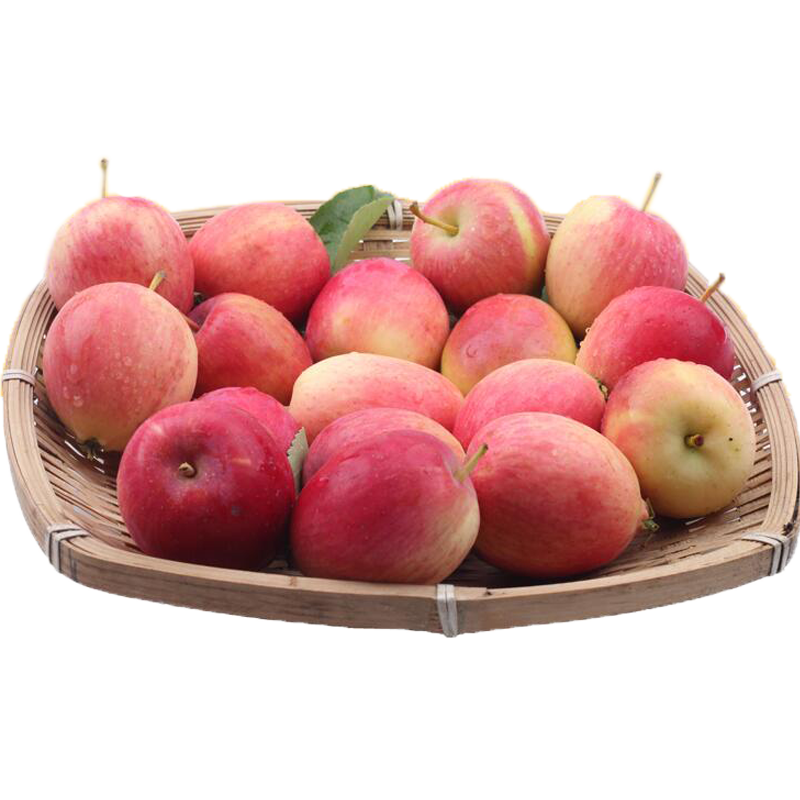 ʵ˳᡿ĺĹ ɳ زСƻ 3ĺĹƼ 48.8Ԫ