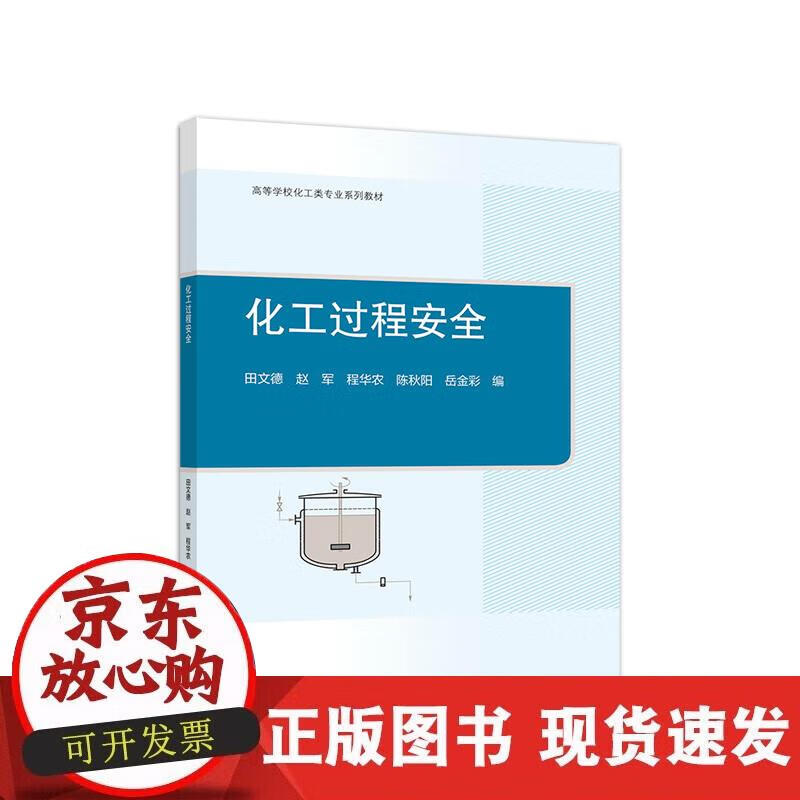 【正版现货】化工过程安全
