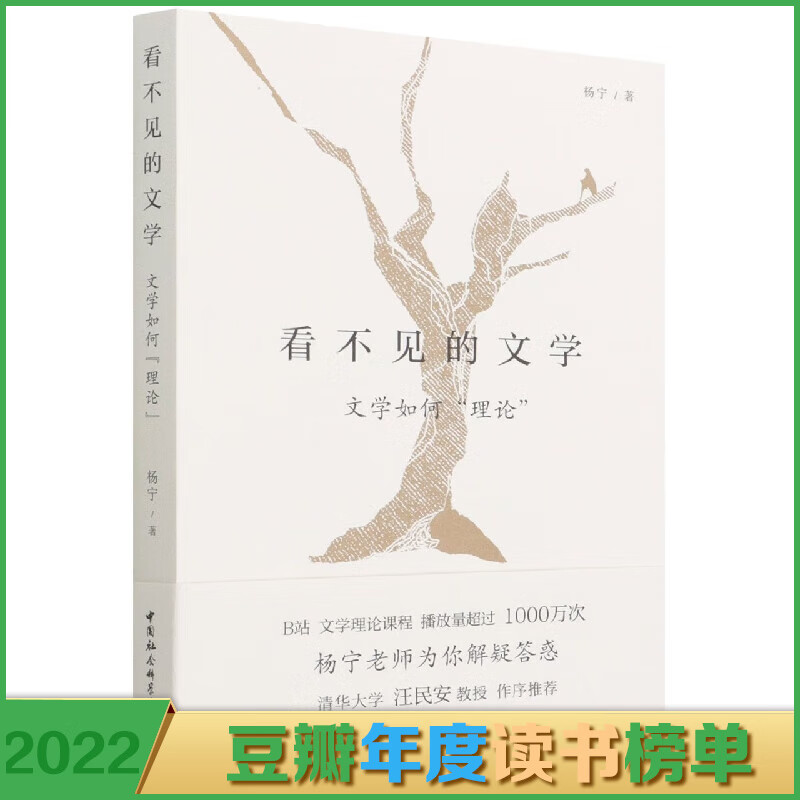 看不见的文学(文学如何理论)