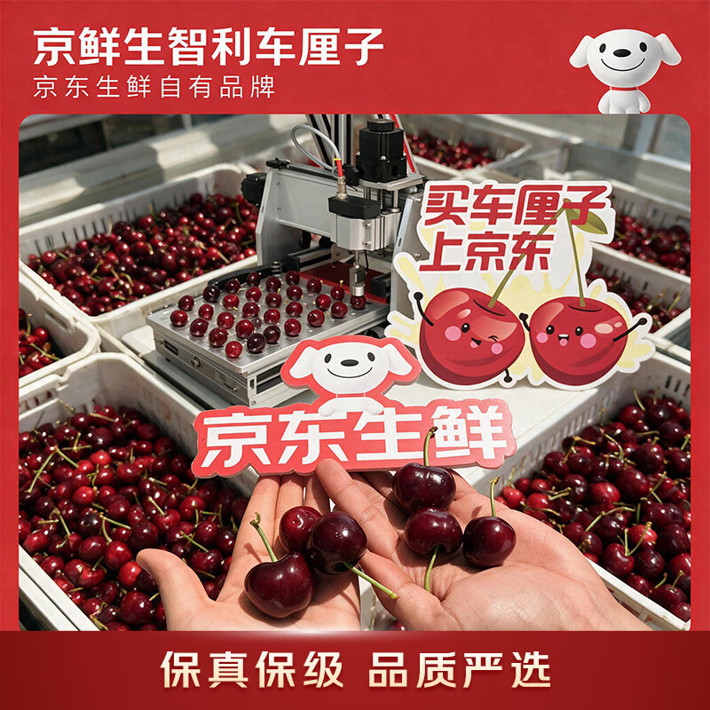 https://img14.360buyimg.com/pop/jfs/t1/545441/24/9301/217305/6ad761deFaa0710fc/0083320320f70097.jpg