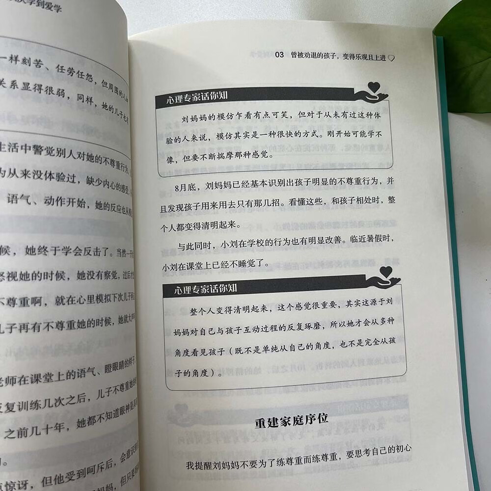 家庭教育心理咨询师手记：让孩子从厌学到爱学