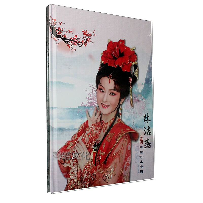 2022全新经典潮剧 dvd正版高清视频光盘 林洁燕潮剧艺术专辑 1dvd9