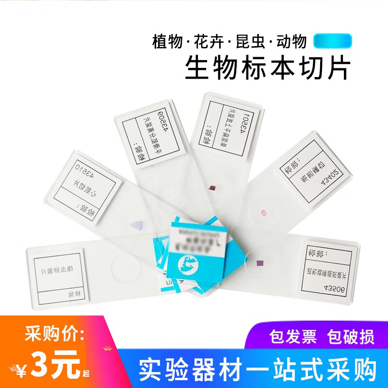 植物根尖幼根顶芽木本双子叶植物茎蚕豆叶下表皮青霉衣藻细菌三型 432