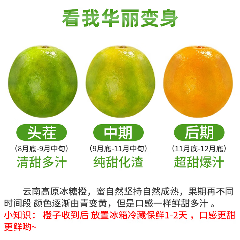 天乐优选麻阳冰糖橙新鲜橙子水果当季整箱果冻甜橙手剥橙子爆汁应季年货节 带箱5斤单果60mm以下净重4.5斤