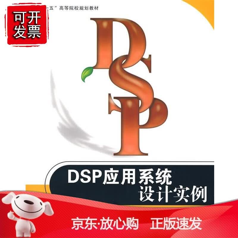 DP应用系统设计实例正版