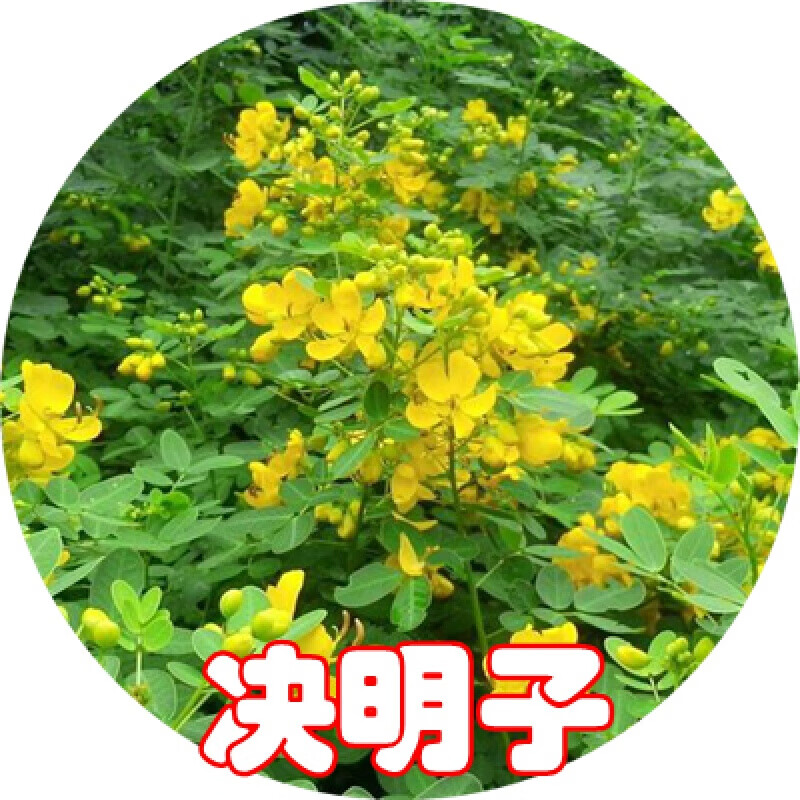 ˶԰ջ²뻱ľܲƺָ·̻Сľ  1