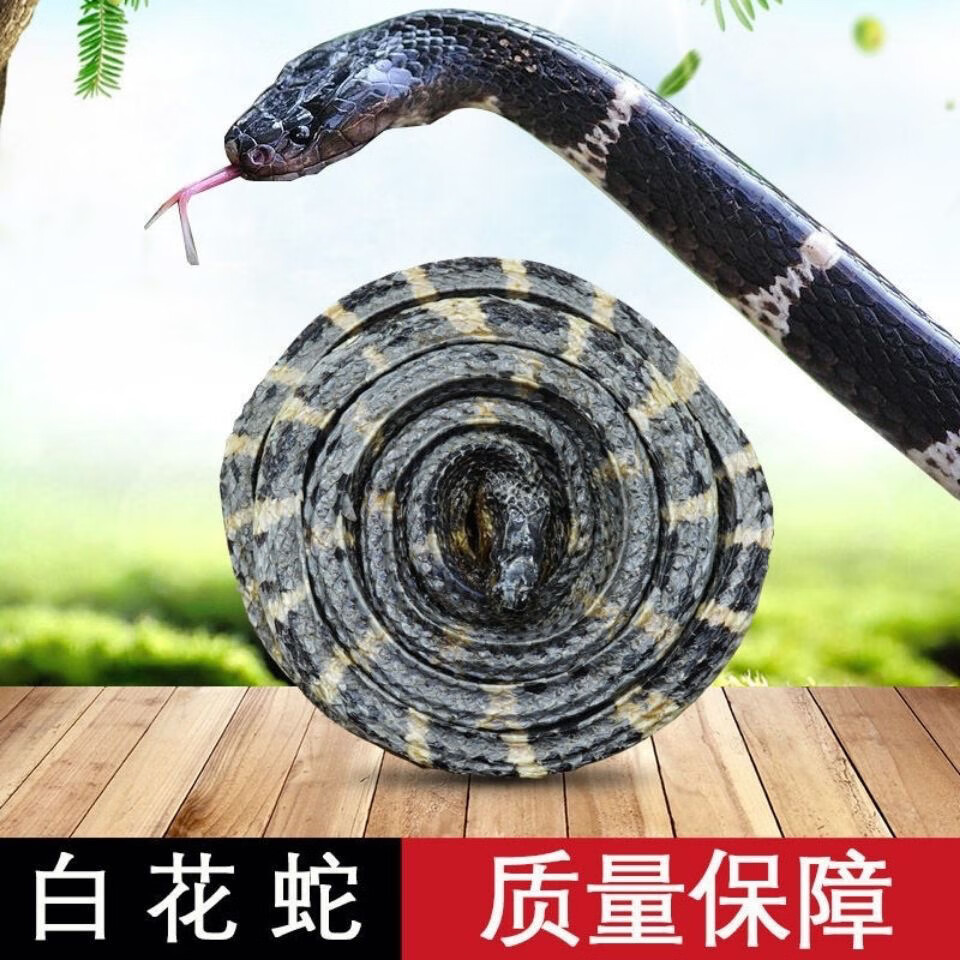 中药材花蛇晒干大条金钱花蛇小蛇风湿泡酒料50克包邮野生蛇 50克