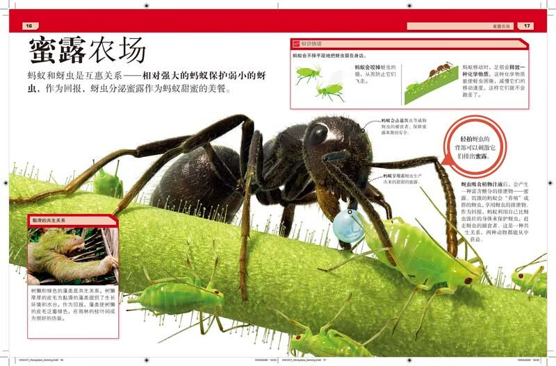 DK这不可能是真的 黏糊糊+臭烘烘（套装共2册）开学必备 课外读物详情图