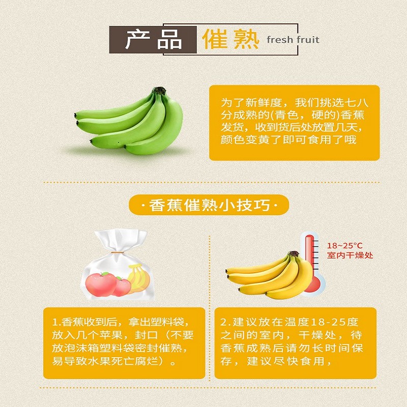 云南新鲜高原大香蕉 香甜可口 新鲜香蕉水果 整箱10斤（净重9斤装）