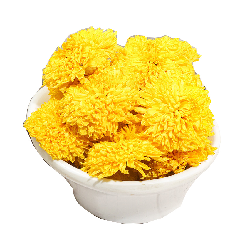 云台特级冰菊怀灵菊茶河南焦作雁门野生同仁堂韵遊游菊念路露菊花