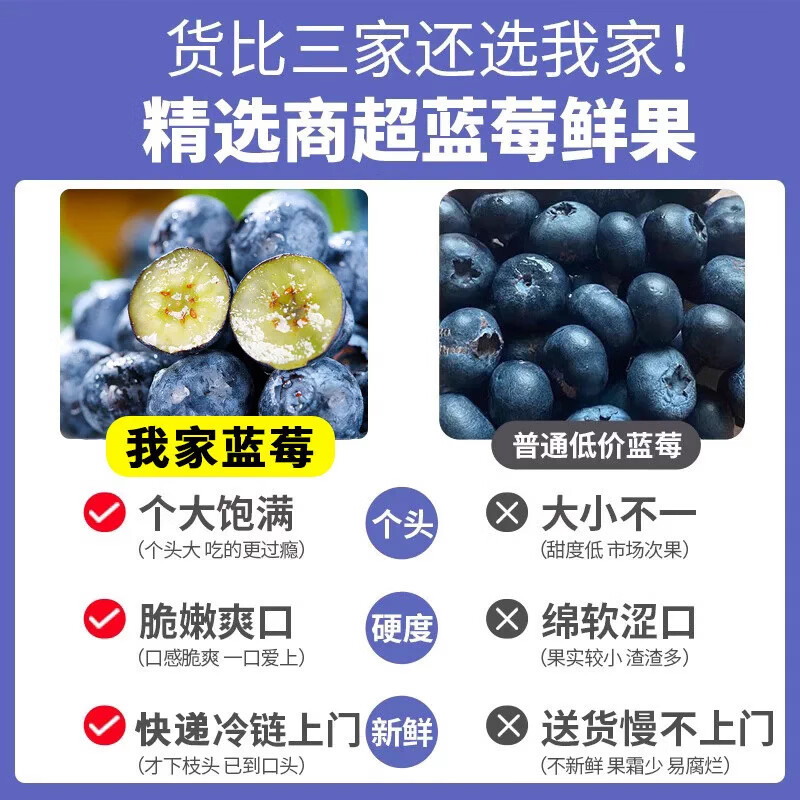 东鲜丰云南蓝莓【JD】超大果蓝莓新鲜水果送礼 6盒装单果15mm+ 100g/盒